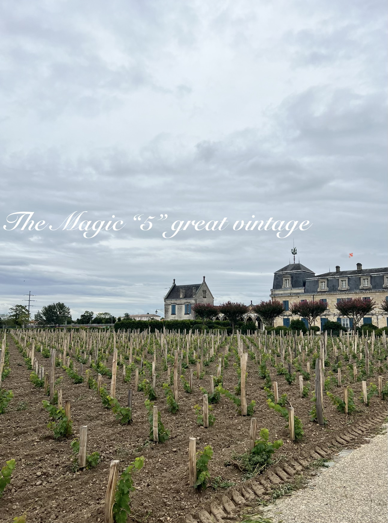 Bordeaux En Primeur 2025